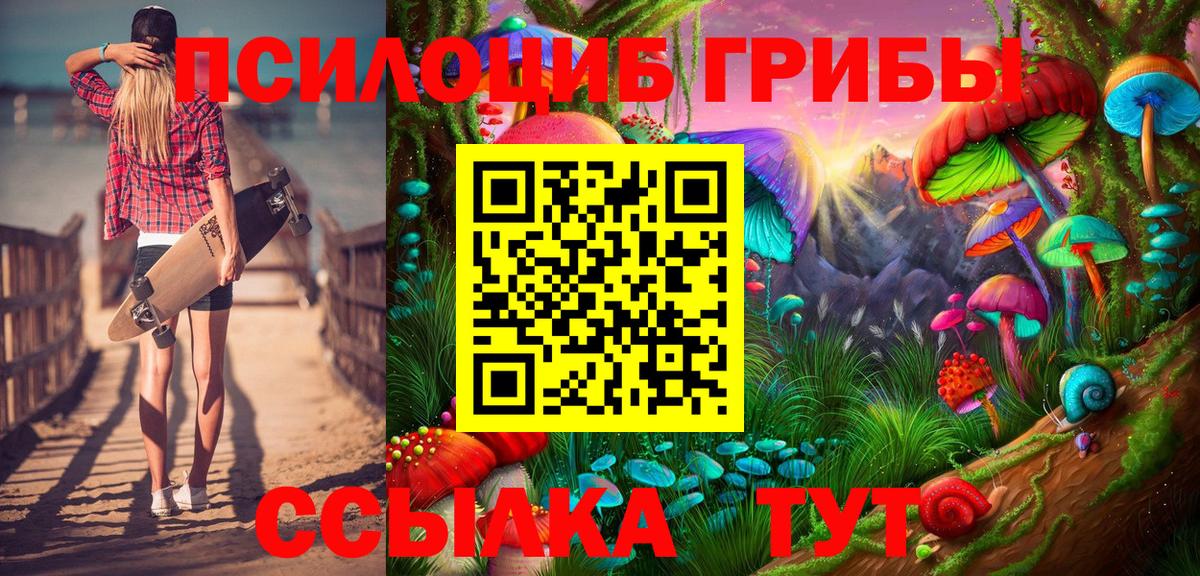 Псилоцибиновые грибы мухоморы  Псилоцибиновые грибы Psilocybe  купить   Мирный  Вход с VPN 